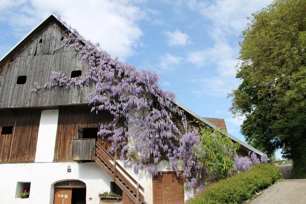Pension Neuhof Ossiach Buitenkant foto